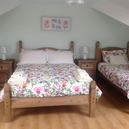 The Rock Equestrian Farm B&B Bailieborough Exterior foto