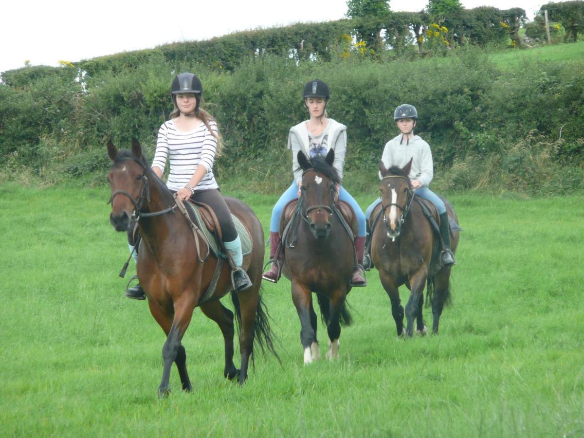 The Rock Equestrian Farm B&B Bailieborough Exterior foto