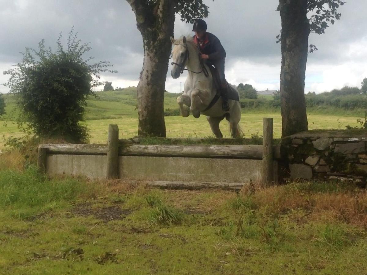 The Rock Equestrian Farm B&B Bailieborough Exterior foto